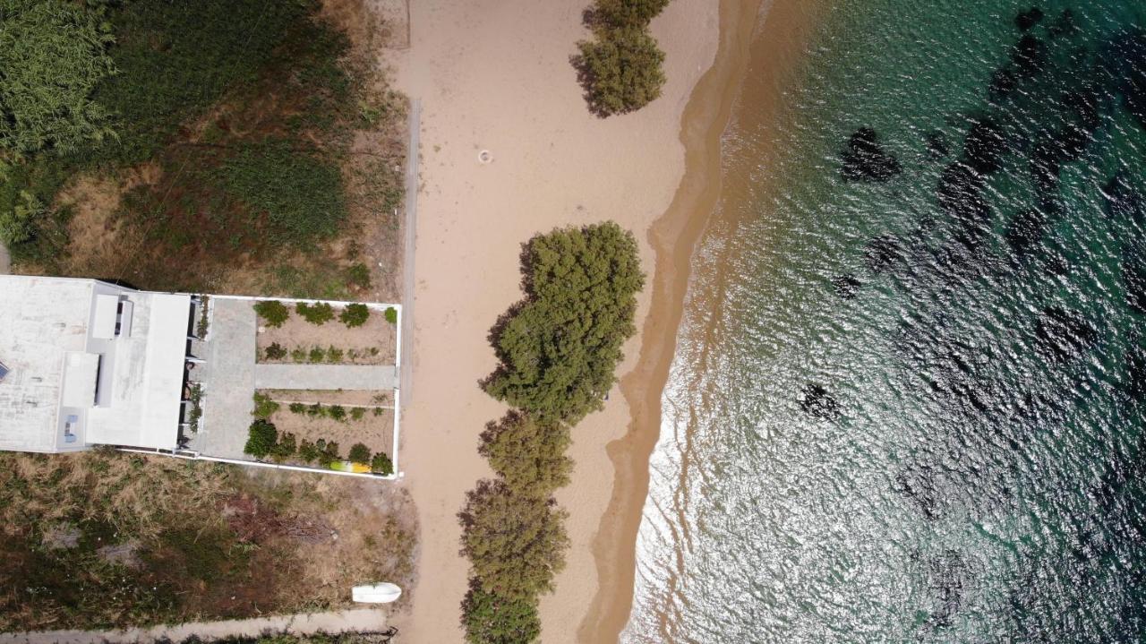 Galazio Seaside Apartments Livadakia Zewnętrze zdjęcie